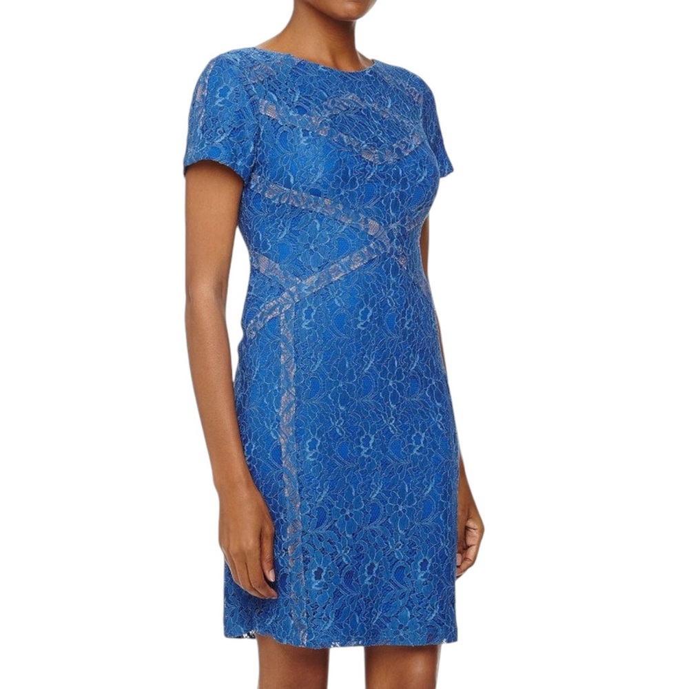 Muse Electric Blue Short Sleeve Lace Dress 4